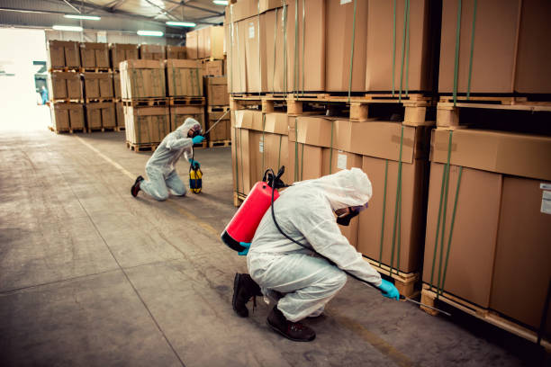Best Flea Control Services  in Orting, WA