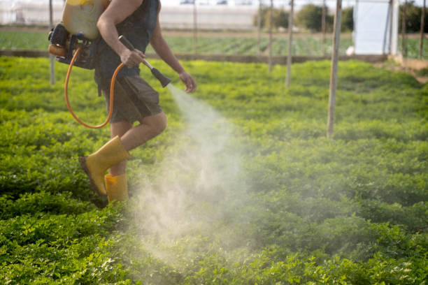 Orting, WA Pest Control Company