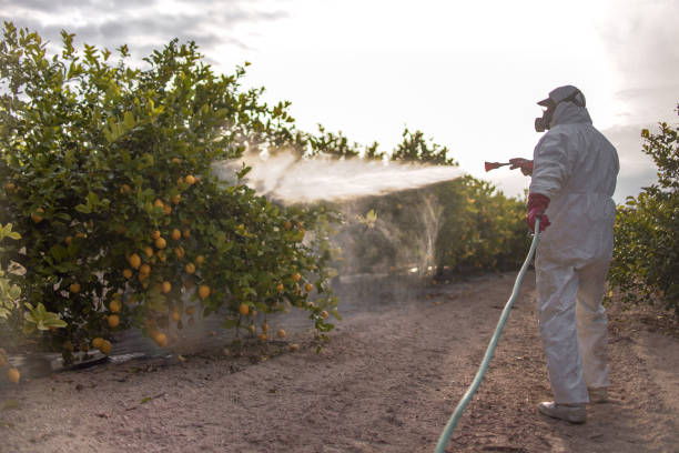 Best Commercial Pest Control Services  in Orting, WA