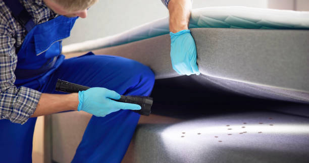 Best Pest Control Near Me  in Orting, WA