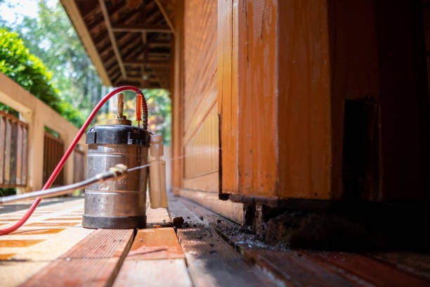 Best Cockroach Control Services  in Orting, WA