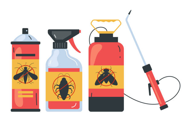 Best Ant Control Services  in Orting, WA