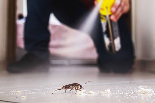 Best Emergency Pest Control  in Orting, WA