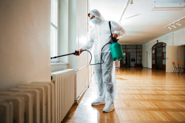 Insect Control in Orting, WA