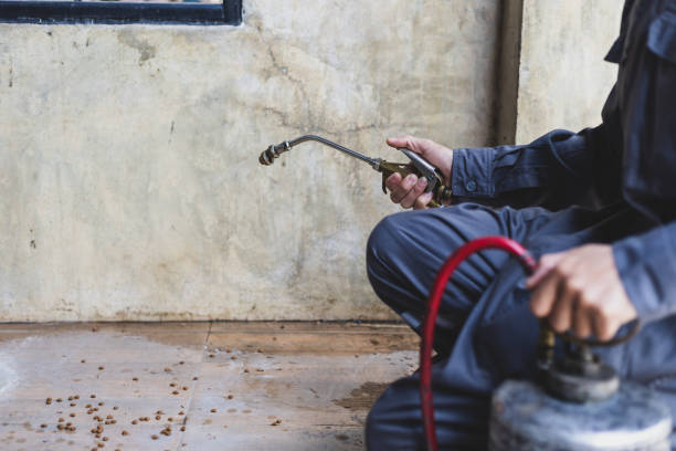 Best Pest Removal Services  in Orting, WA